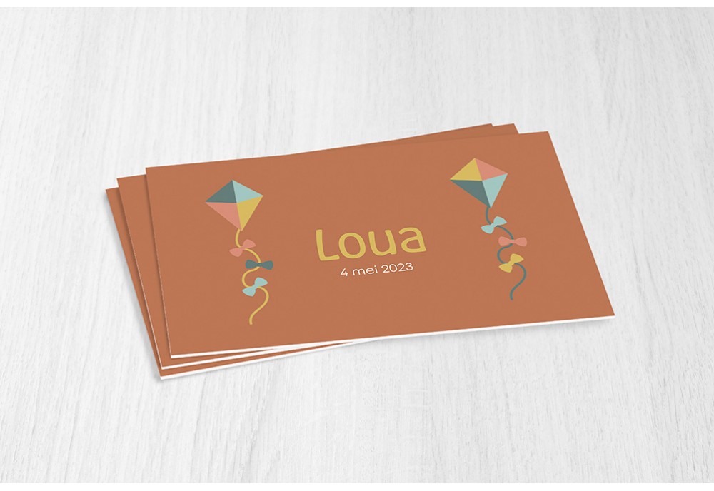 Twee vliegers meisje